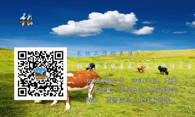 【大嘴说张掖】金张掖约你激情冬春游