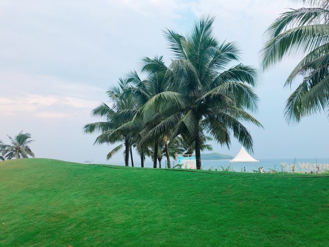 冲浪旅游地,海南万宁必去打卡