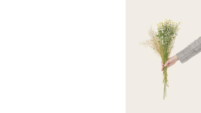 ppt两张竖版图片排版高级感,竖版图片怎么在ppt中呈现