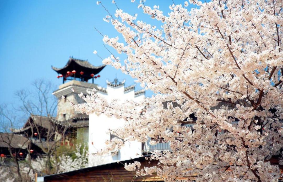 一首春歌原唱完整版,关于春歌的诗词