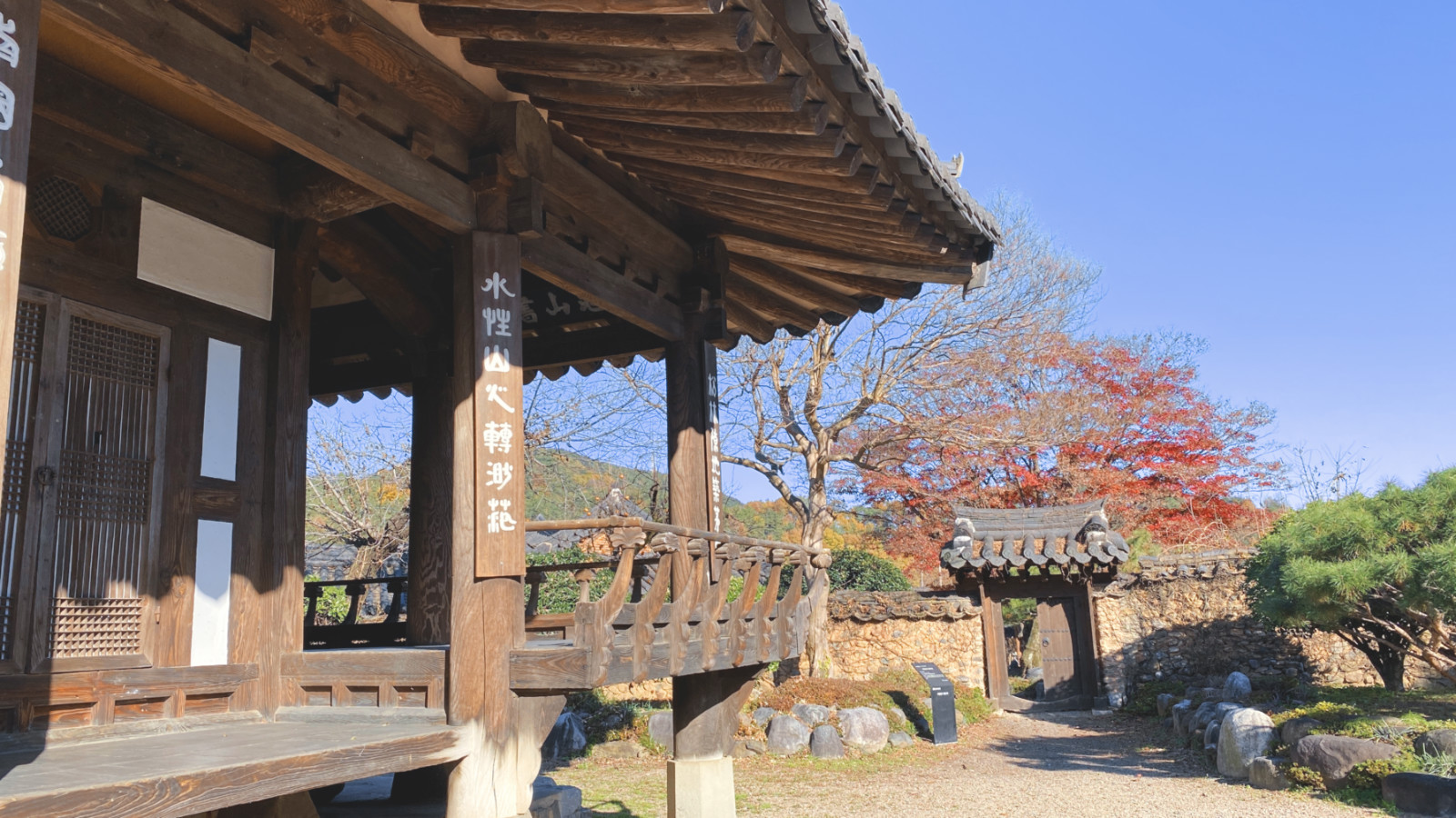 哇，人参随便挖！韩国还能这么玩