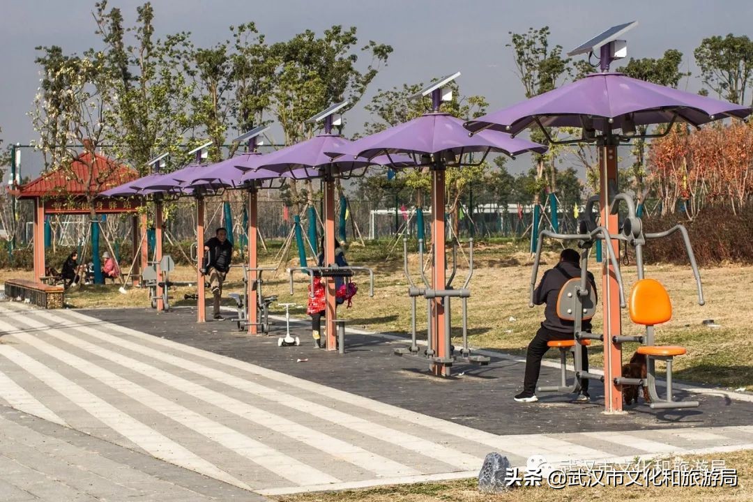 武汉长江二桥江滩公园,武汉杨泗港长江大桥篮球公园