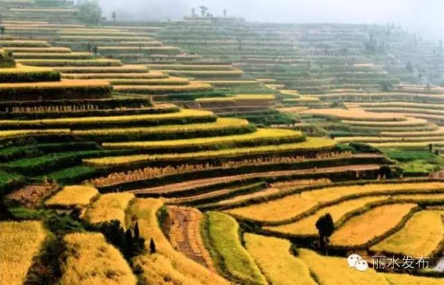 宁波高铁去丽水,丽水直达宁波高铁