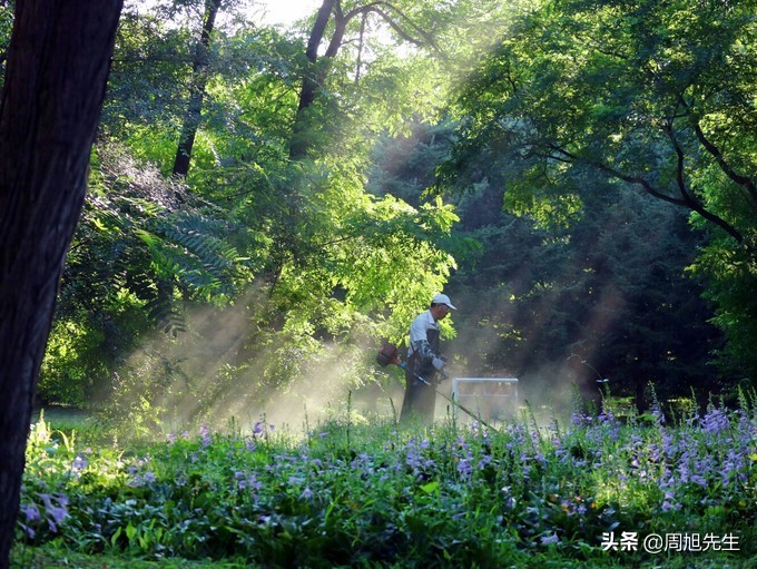 盛京3天深度自驾游好去处推荐,盛京游记