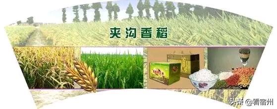 宿州五一附近美食攻略,宿州旅游周边美食