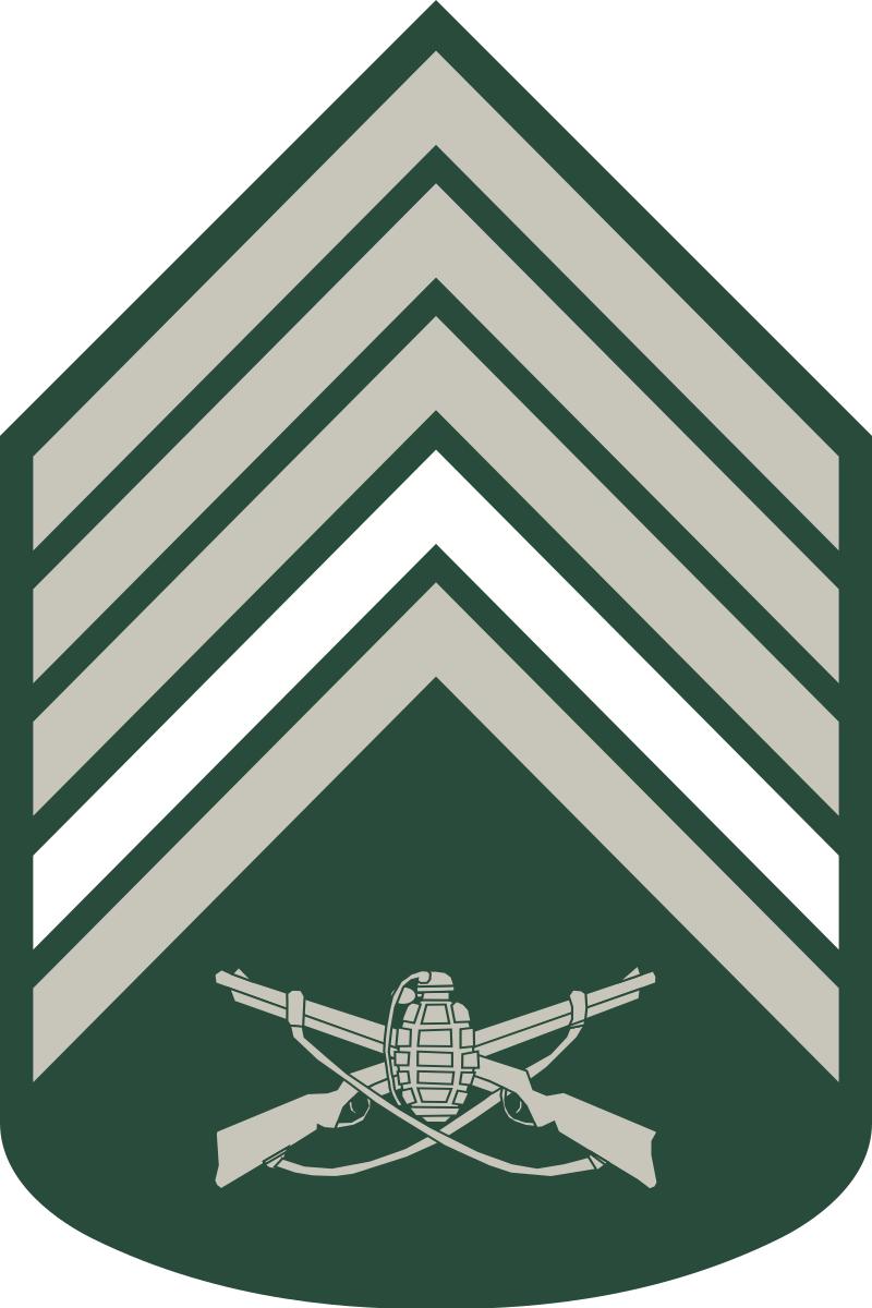 巴西军衔图片,各国军衔标识俄罗斯