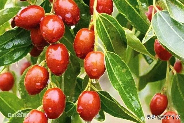 现在的天津静海,天津骄傲的大静海