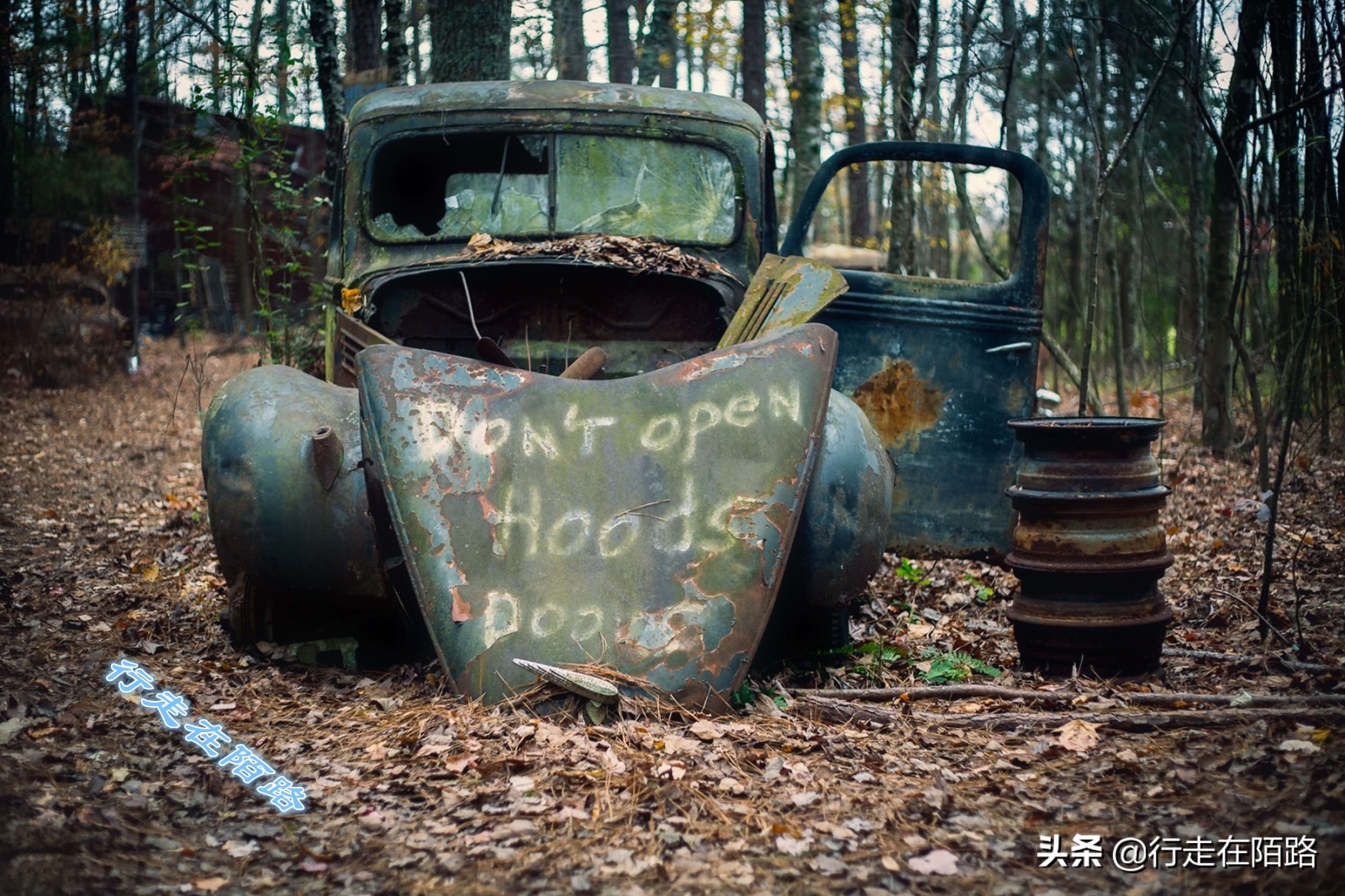 最值钱的废品,最值钱的废品回收