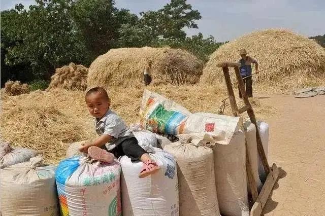 芒种种出新希望,芒种和幸福播种