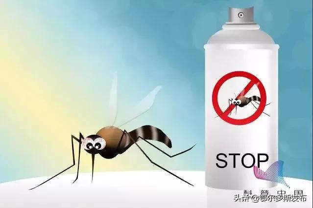 o型血蚊子比较喜欢咬吗,听说蚊子喜欢喝o型血这是真的吗