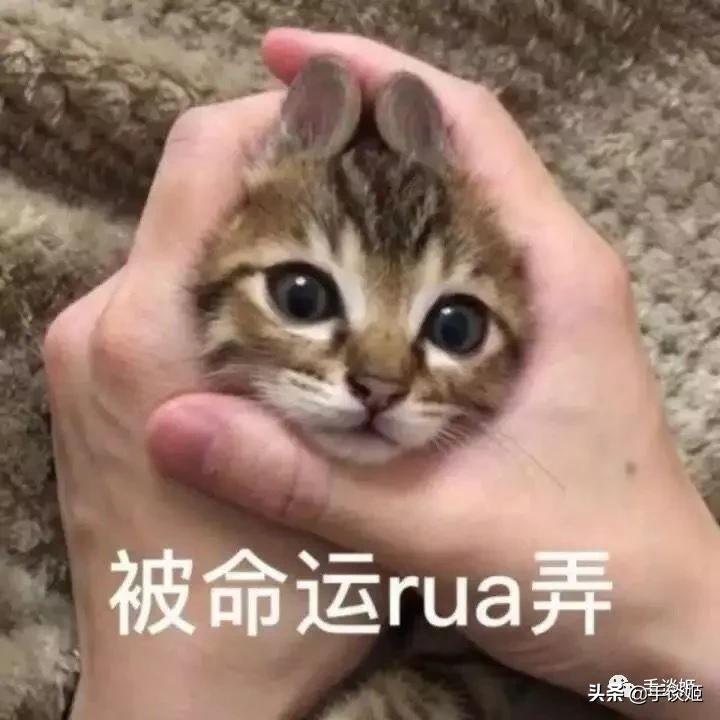 怪蜀黍外貌却能开口配出萝莉音?这位抖音上的声优让我跪了