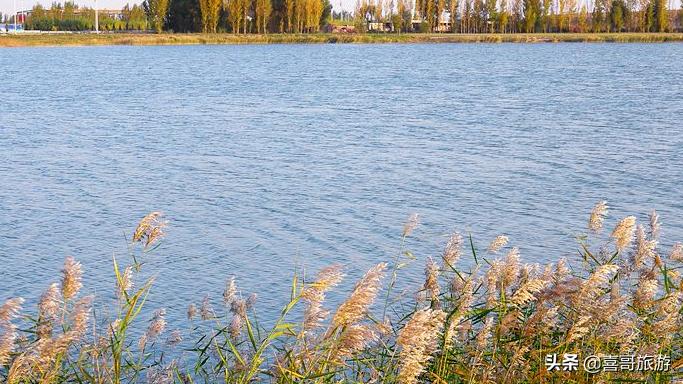 去内蒙古巴彦淖尔市旅游交通攻略,内蒙古巴彦淖尔旅游最佳季节