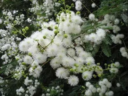 菲拉格慕蓝色经典香评测,菲拉格慕沙龙香