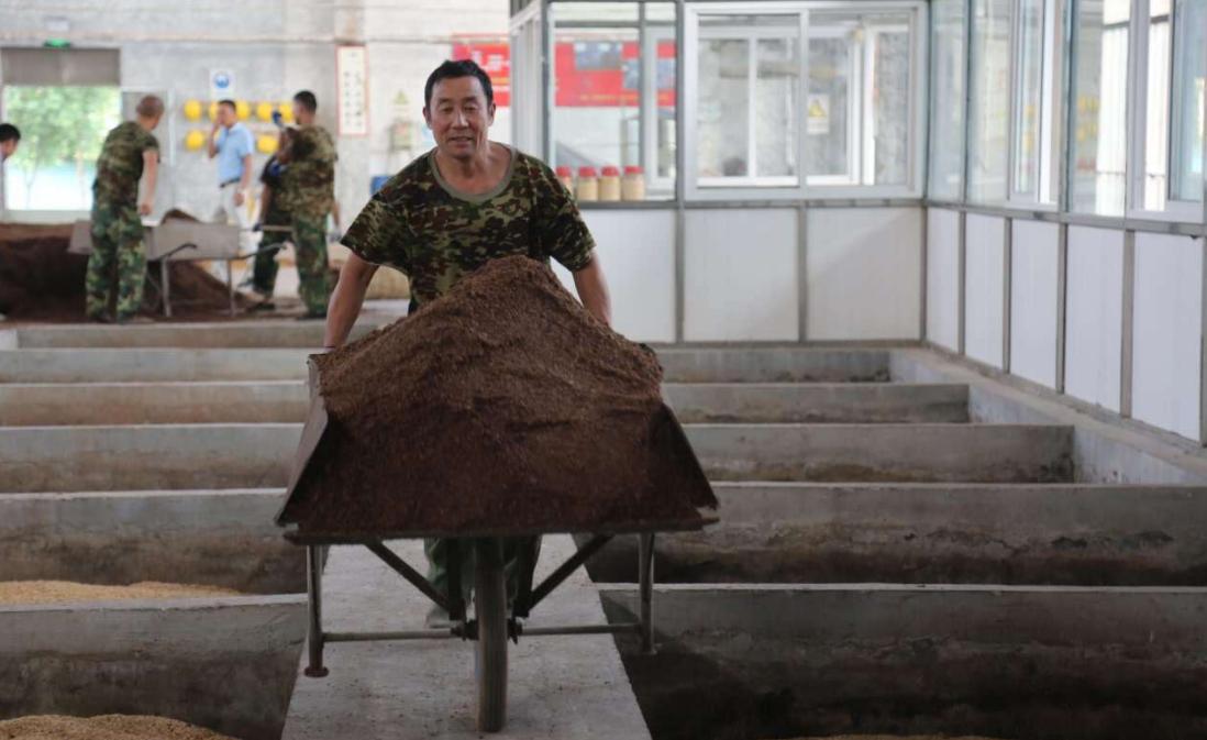 白酒酿酒技术和设备,特香型白酒的酿酒技术