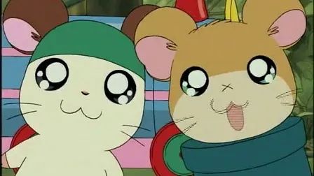 粤语直播被举报,粤语直播间经常被举报