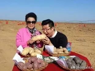 新农人创业的1000种方法,新农人生意思路和方法