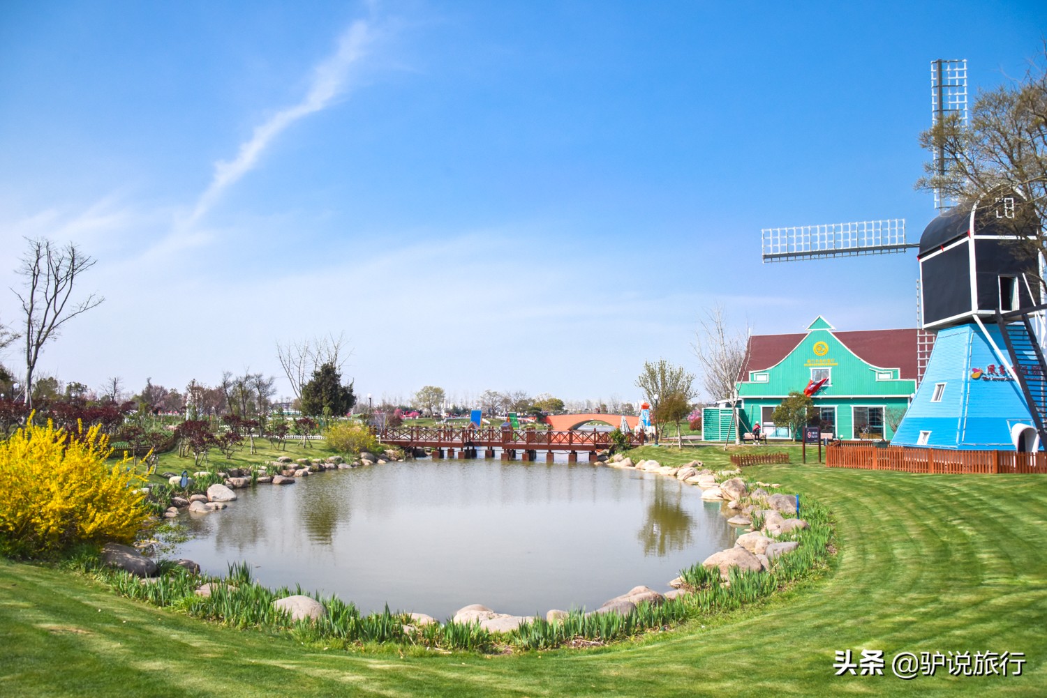 郁金香中国,中国郁金香第一花海