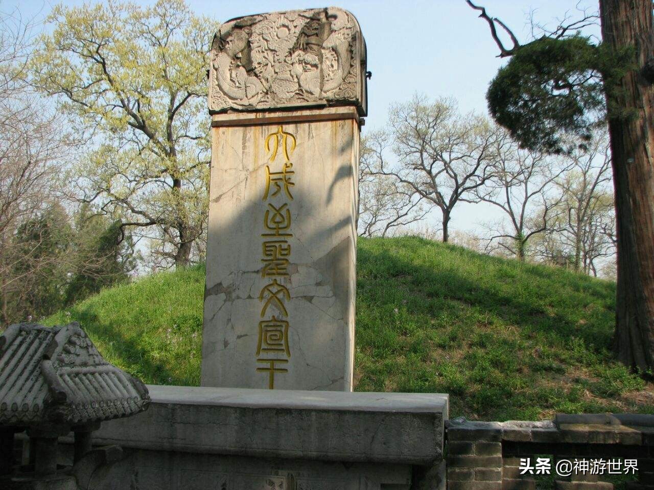 曲阜孔林游记,曲阜孔林