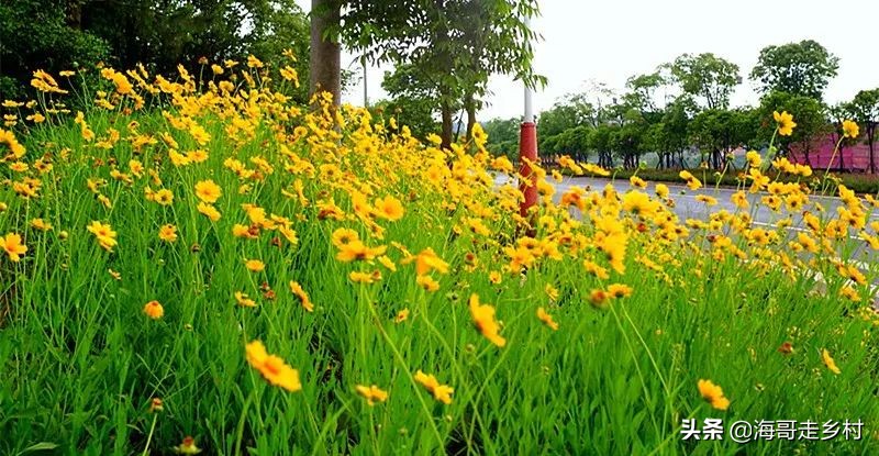 吉安赣州创建文明城市,吉水县城建设