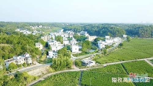 *党**建引领村级集体经济高质量发展的唐江之路