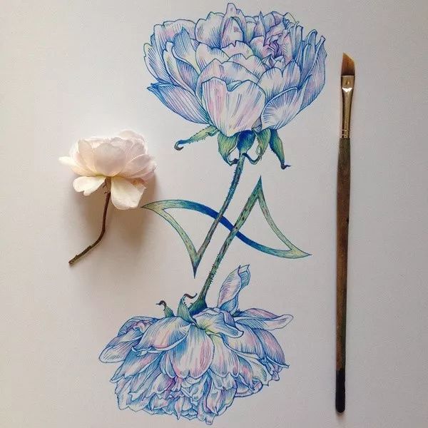 简单针管笔手绘花,简单易学针管笔手绘