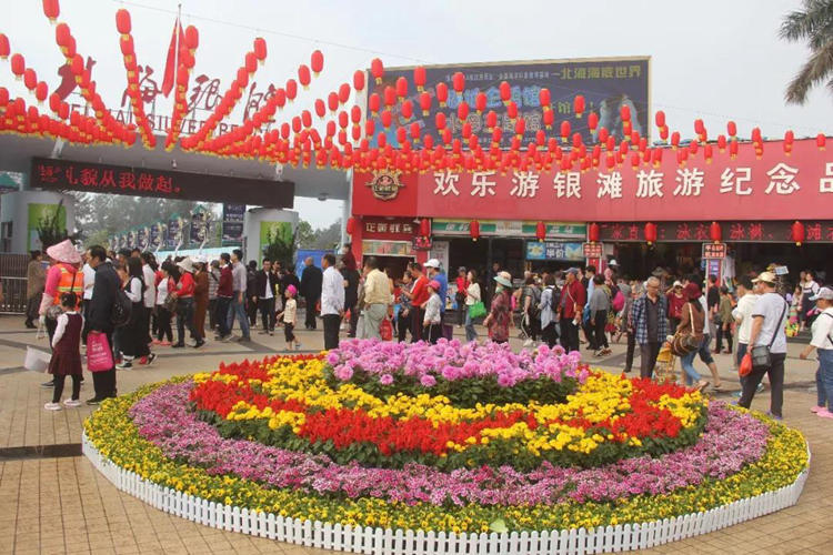 候鸟消费能力剑指何处，北海的候鸟经济究竟是利是弊？