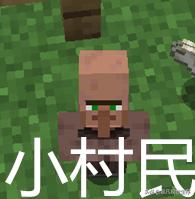 我的世界1.14.3村民如何繁殖,我的世界1.12.2村民繁殖条件