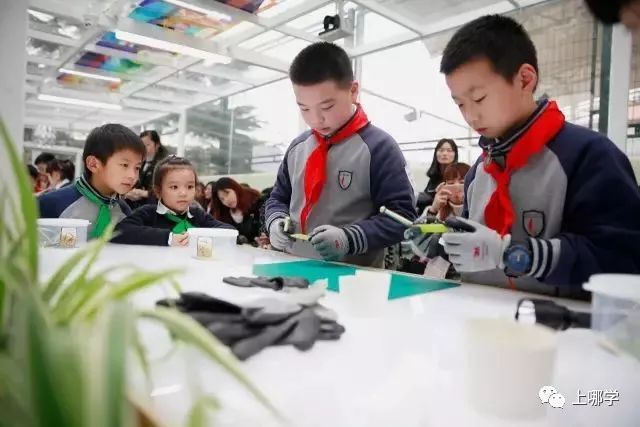 闵行明星学校黑马,闵行公办学校排行榜