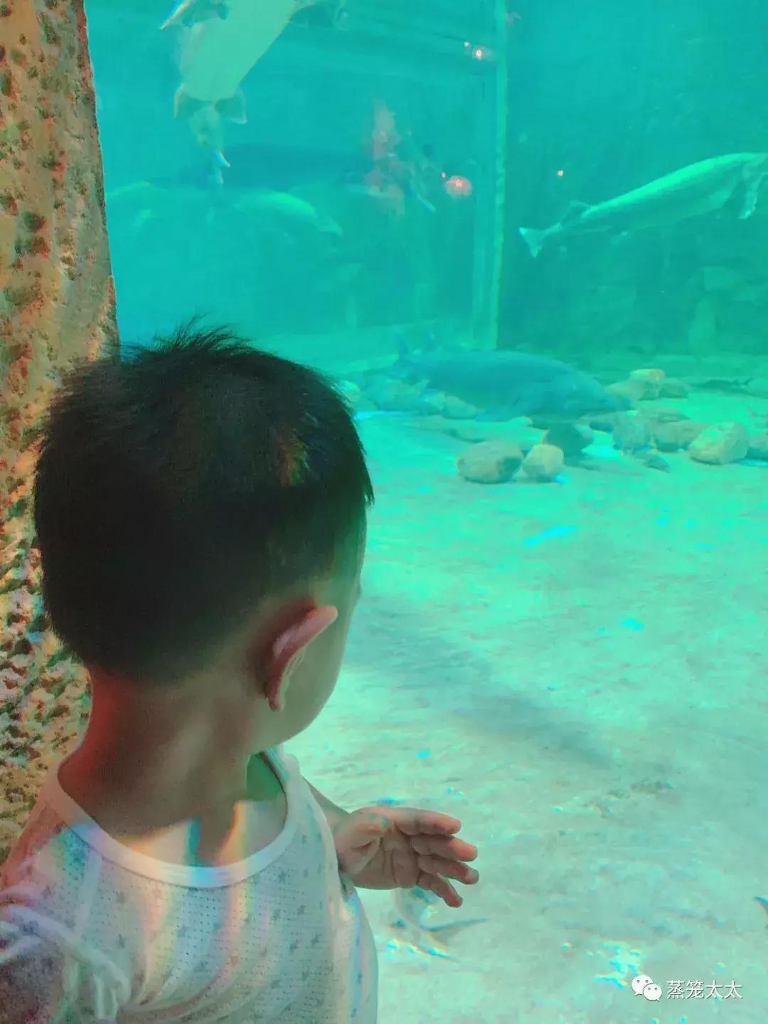 买来的橡皮泥有毒吗,外面买的橡皮泥做手工