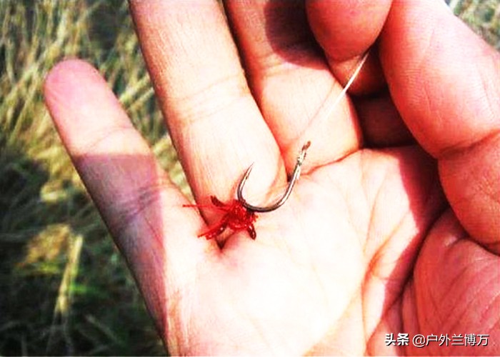 冬钓大板鲫，红虫多加点蓝鲫，鱼儿来得更快