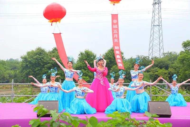 八方游客齐聚桑果紫酒节，共赴这场采桑品酿盛会