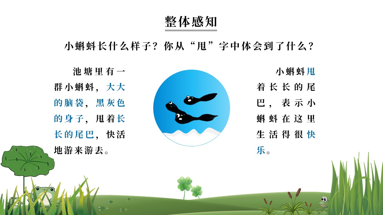 二年级语文小蝌蚪找妈妈教学视频,二年级语文小蝌蚪找妈妈教学教案