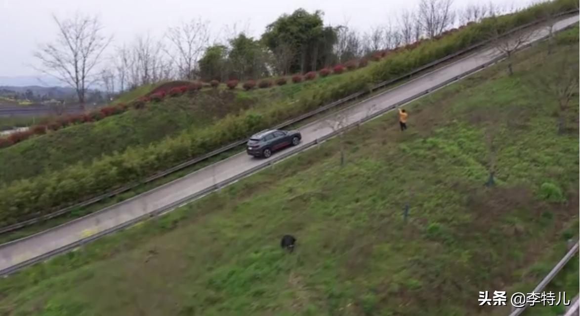 是骡子是马拉出来遛遛的出处,是骡子是马牵出来遛遛