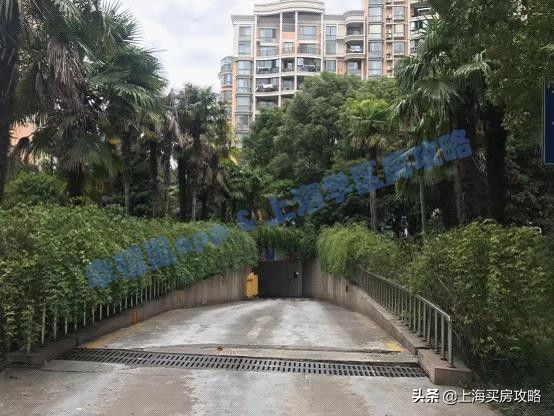 爱建园小区最好的楼盘,上海碧云爱建园复式