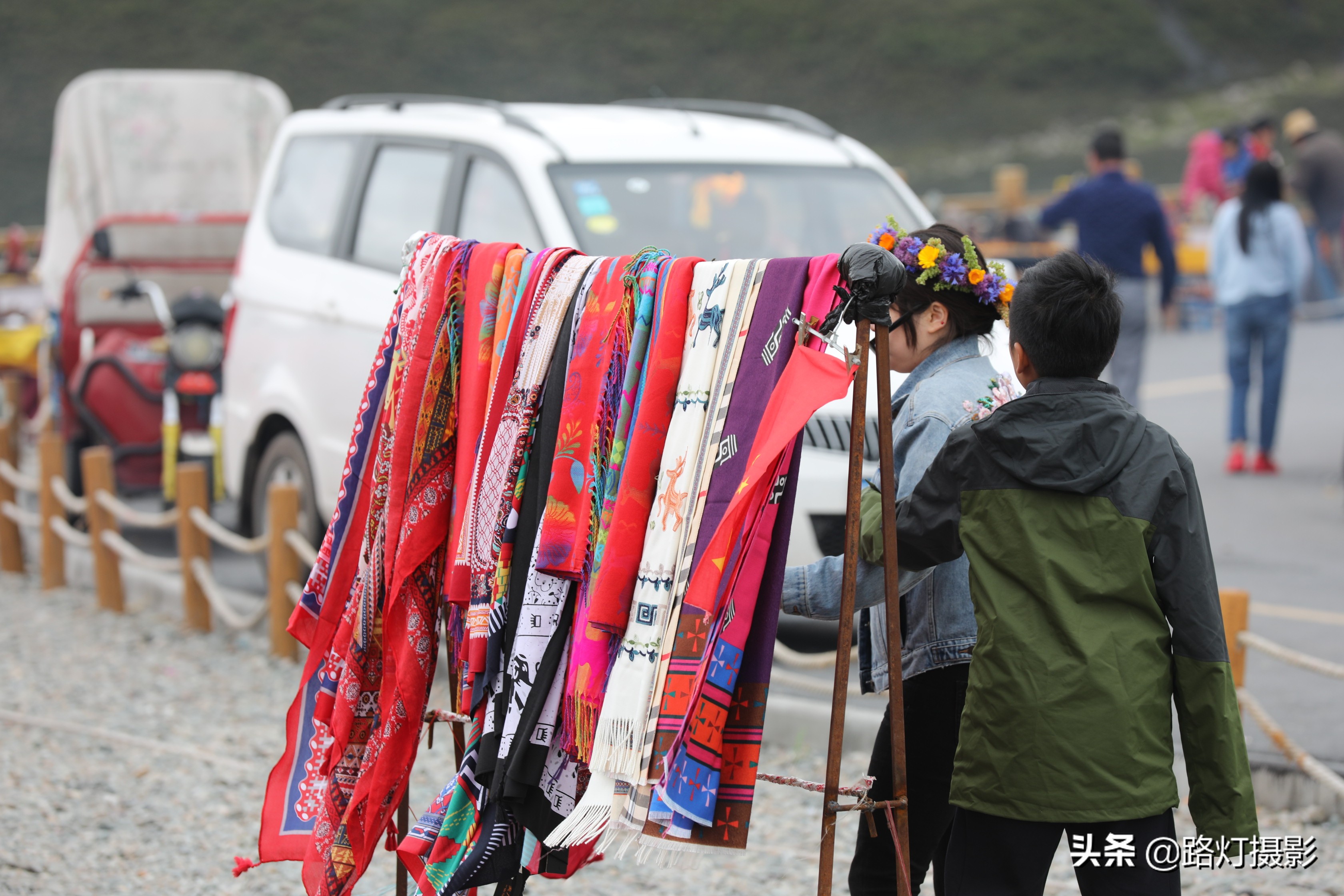 草原美丽的花海风景视频,青海花海旅游景区