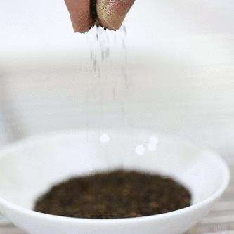 体育西甜品网红店,体育西网红面包