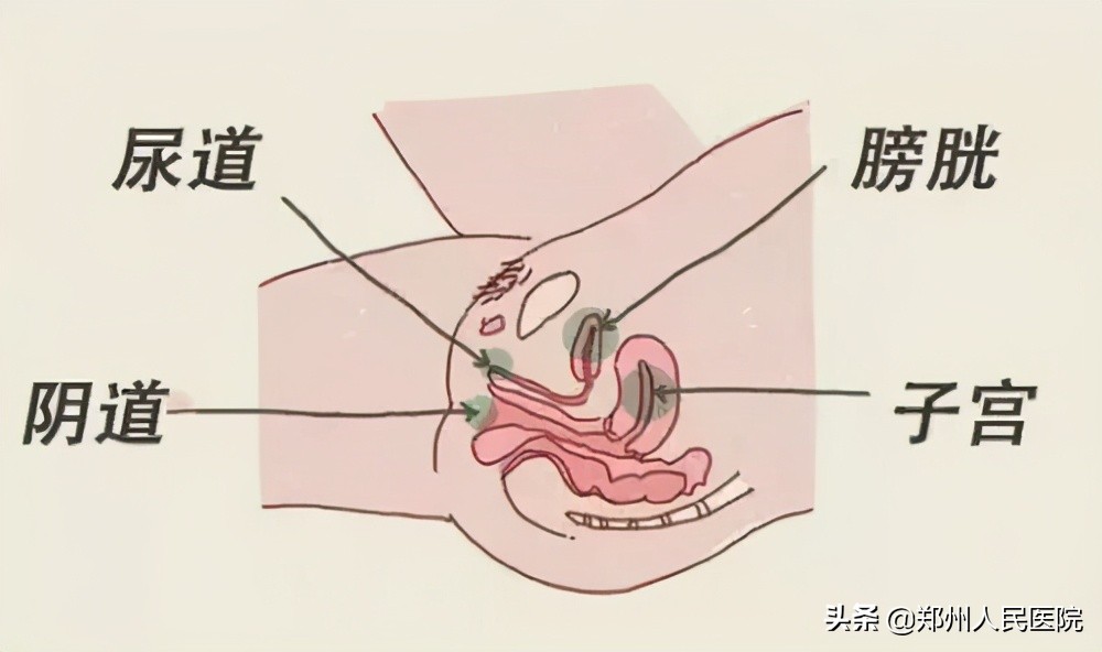精神矍铄的网红“娃娃奶奶”发生了什么?竟然住进了ICU……