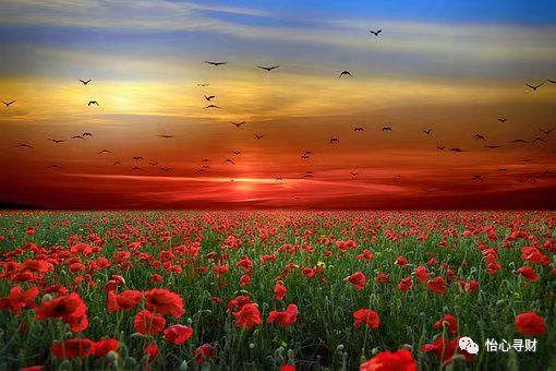 欠款10万最快还款方法,欠款10万2年还清技巧