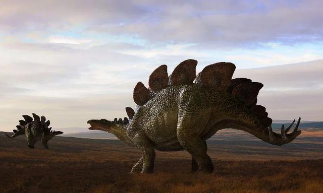 恐龙世界剑龙玩具,恐龙世界剑龙长什么样