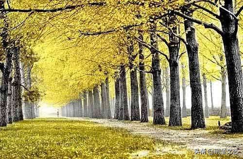 老同学一路走好愿天堂没痛苦,老同学一路走好的哀悼短句子