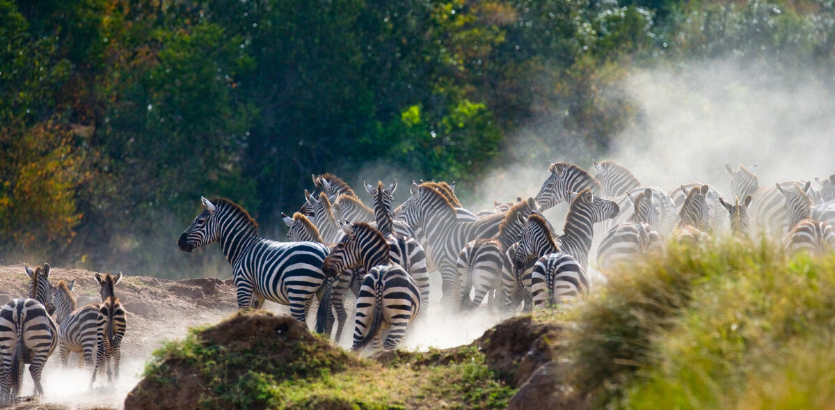 十大宝藏国家,世界上还有什么宝藏国家