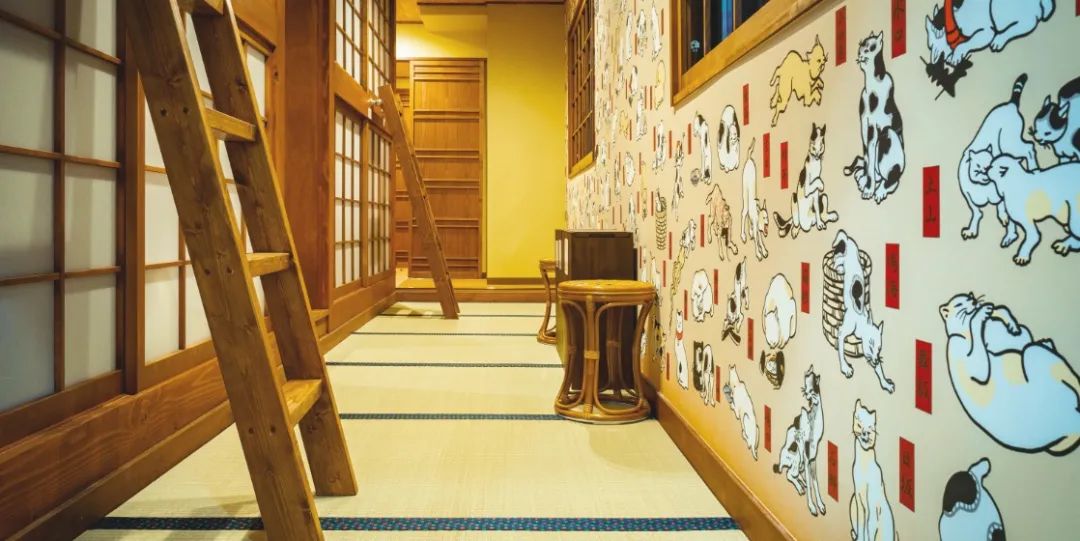 猫咖是不是会收留真猫咪打工,猫咪去猫咖打工是真的吗