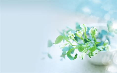 公司要求员工转发朋友圈怎么办,公司强制员工转发朋友圈去哪投诉