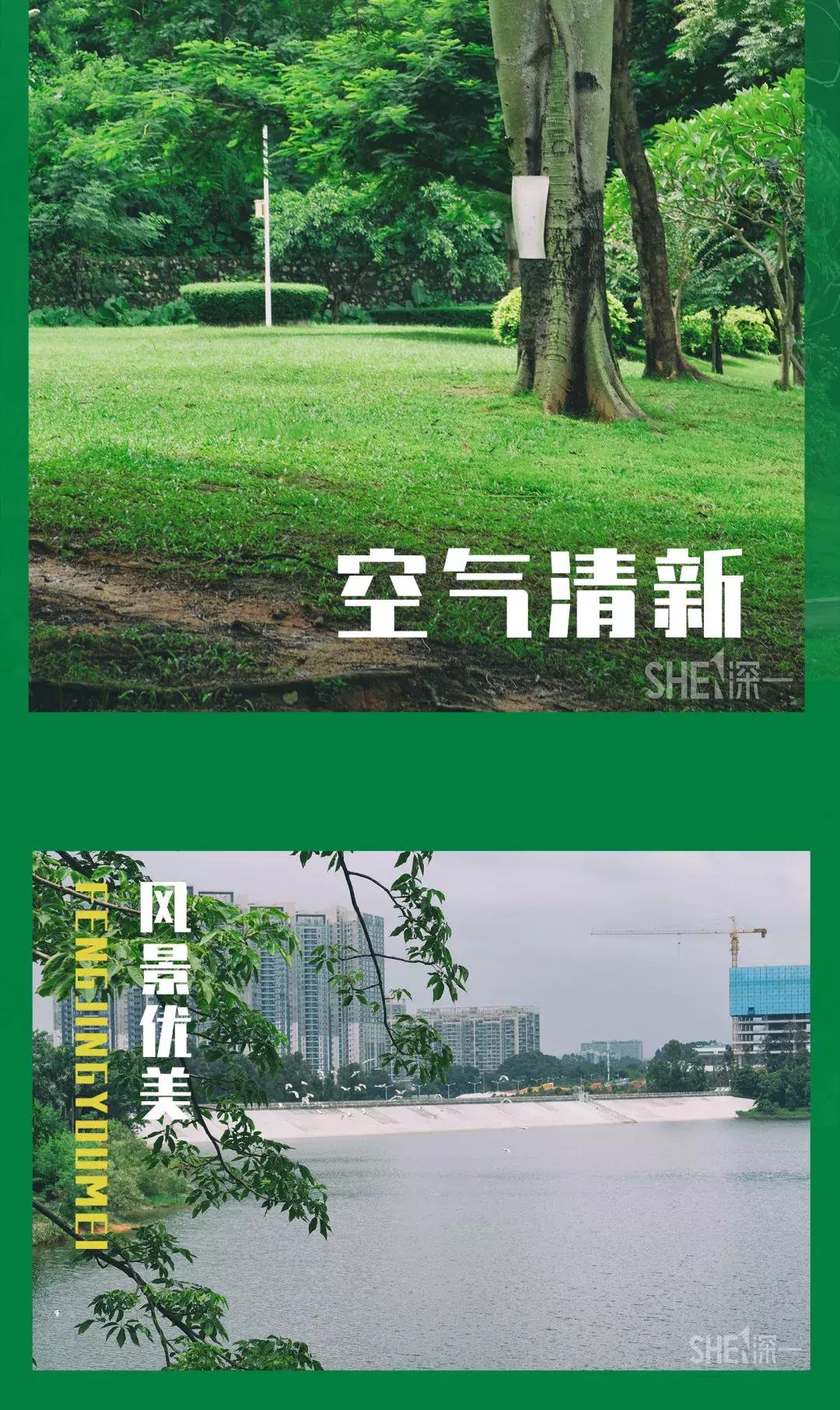 深圳市美美美,深圳最美免费水库