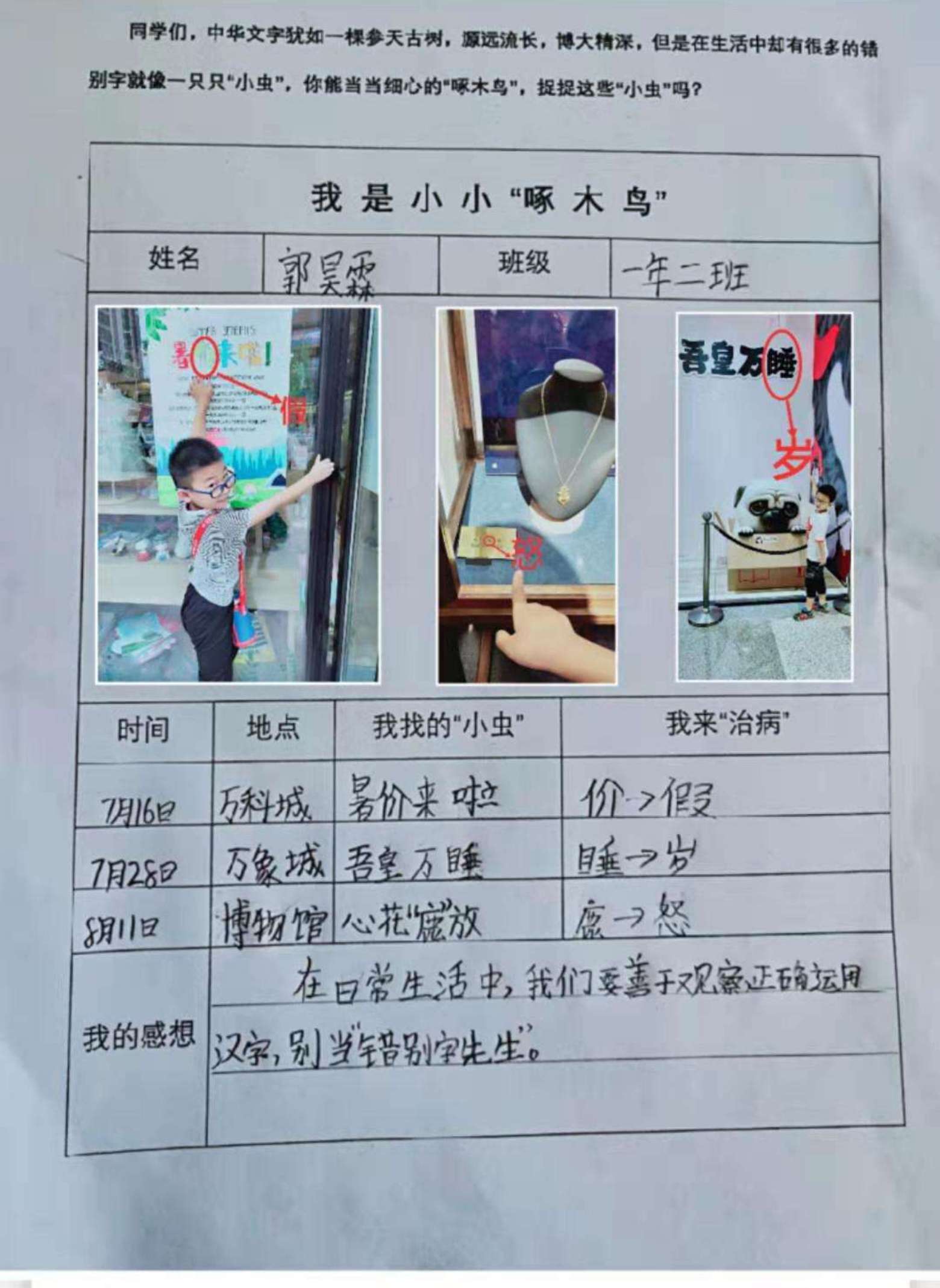小学啄木鸟行动校外纠正错别字,啄木鸟找错别字实践活动