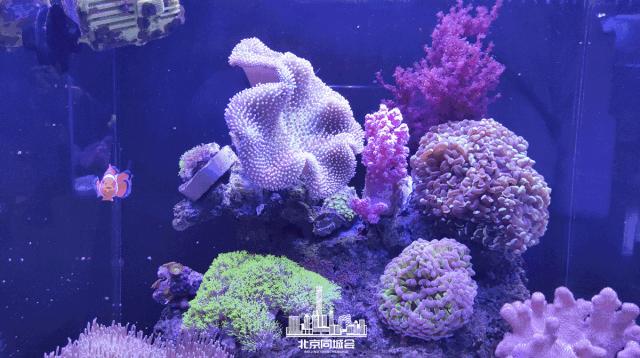 不去后悔去了更加后悔的景点,不去后悔去的景点