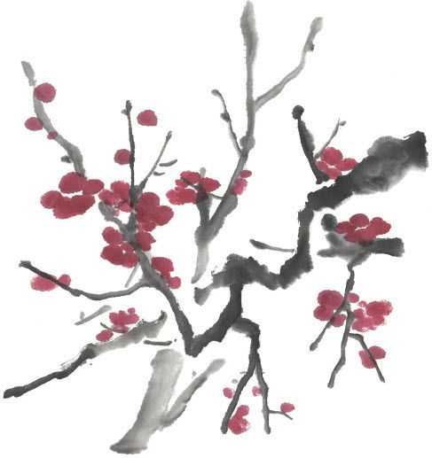 国画梅花上的雪画法步骤教程视频,零基础国画入门画梅花教程