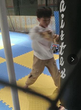 散打搏击跆拳道截拳道有什么区别,搏击散打跆拳道哪个适合6岁小孩