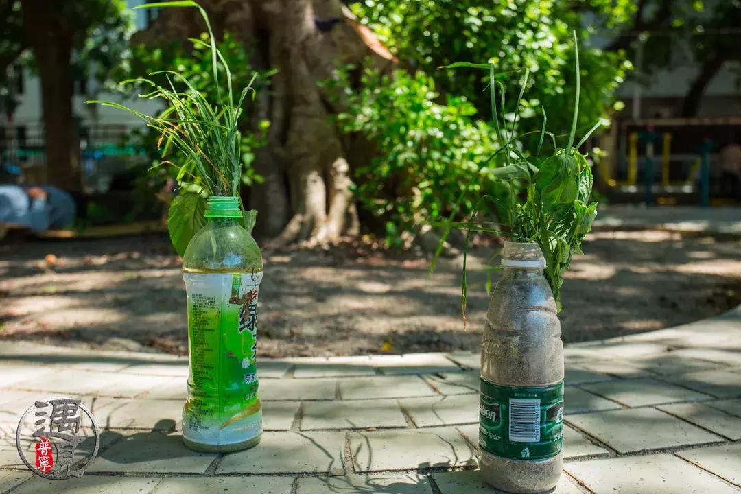 普宁流沙中华新城旧貌,普宁人民广场改造