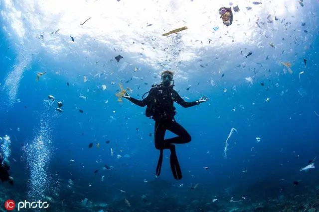 地球生病了，没有人知道，明天等待我们的又是什么